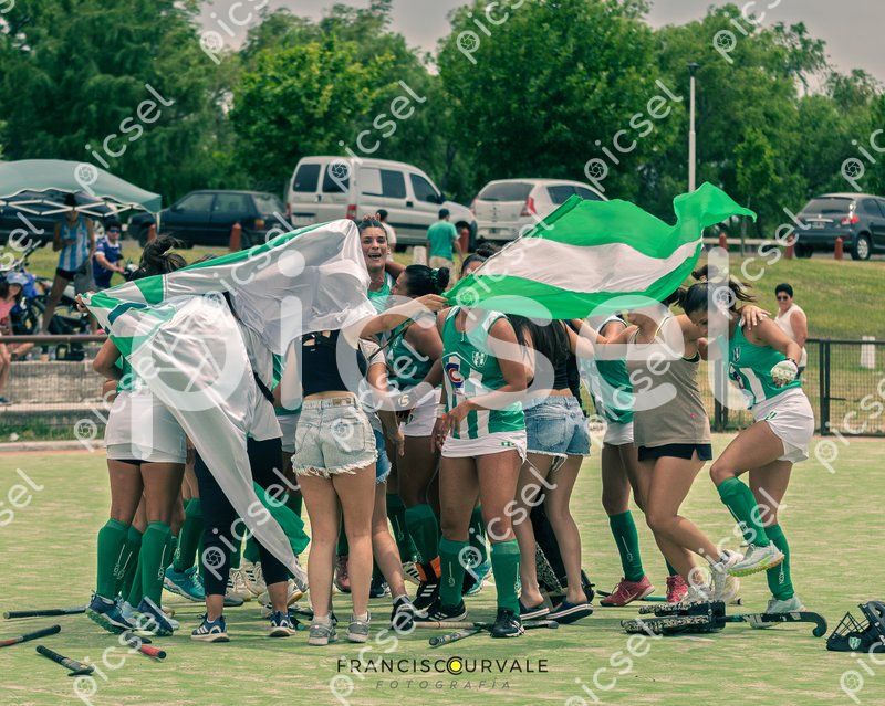 Photo of mfeiz9swian1yueshnr28kp8