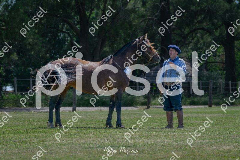 Photo of fzqciwn0fuij5a9c8q1kgvtl