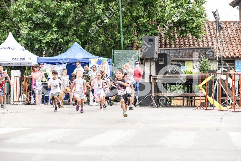 Photo of ee6zz6xki8t8qs8y14sz0fnq