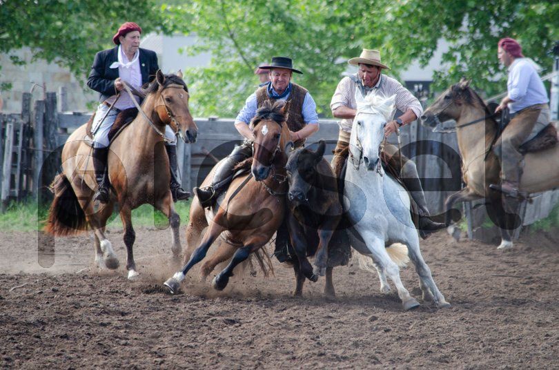 Photo of rf5jf1c18528z7z9i023s44g