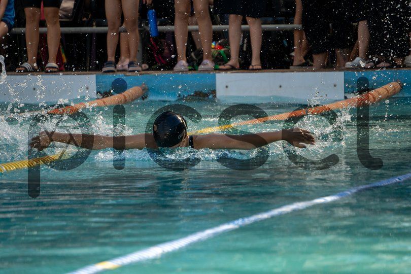 Photo of gl00bn2p968lxvo01cp7onog