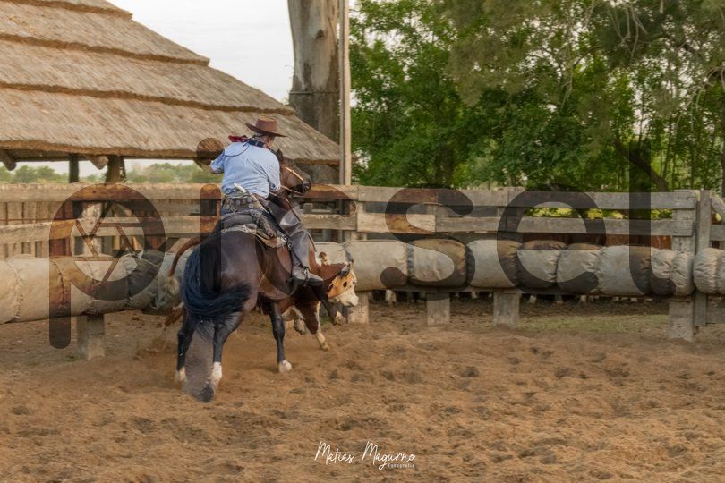 Photo of svy432nnfpkxd3w2v25yxh9m