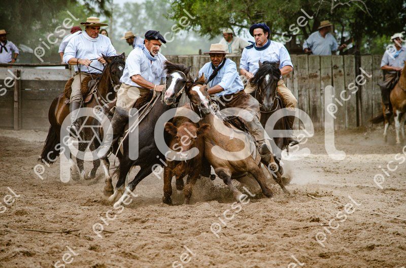 Photo of w4p4hs3co6wx4ge145kb6pe9