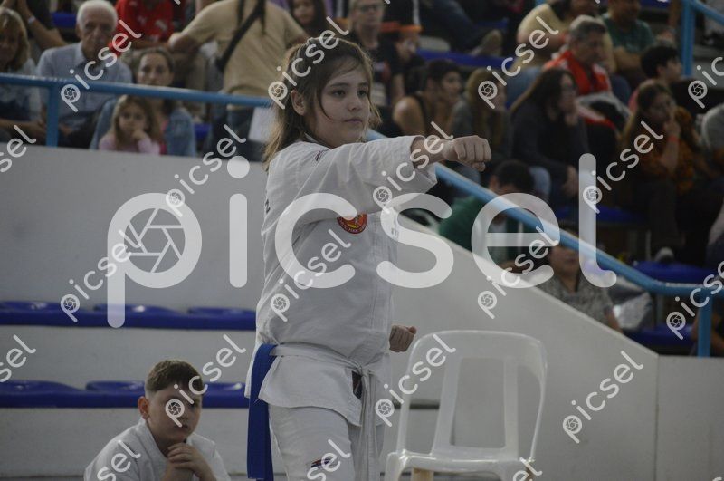 Photo of q4q8w1p1h2tdspjqfl7y0srr