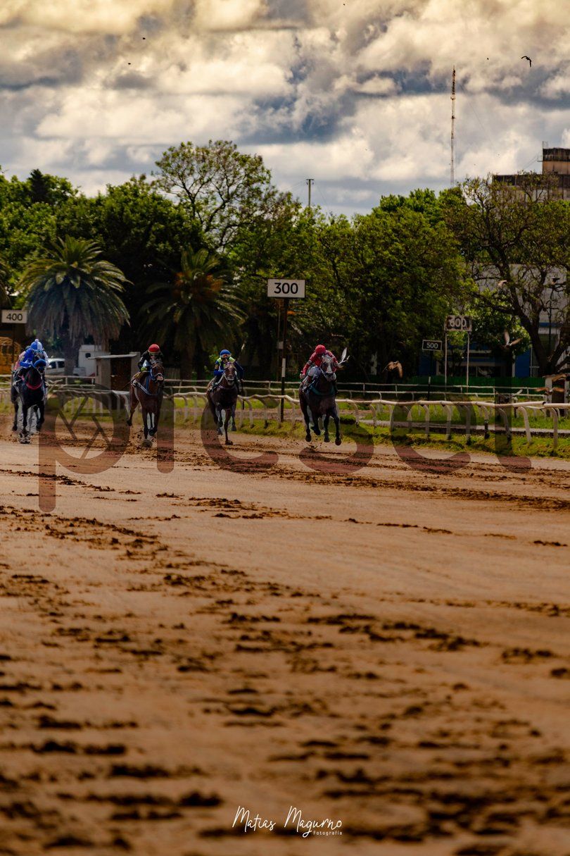 Photo of je4x51p8xgdhh7ov2zhxefvz