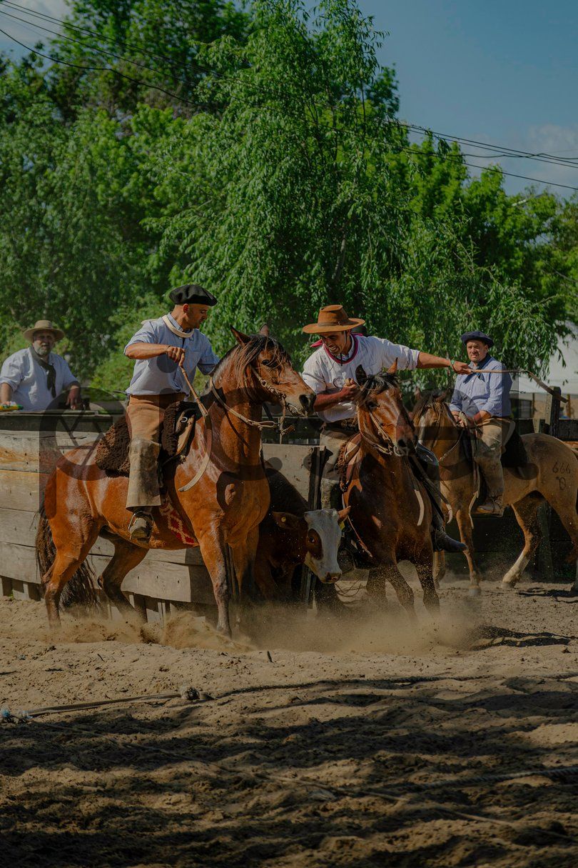 Photo of gf818x5tdt3a8tvov1fy2xz8