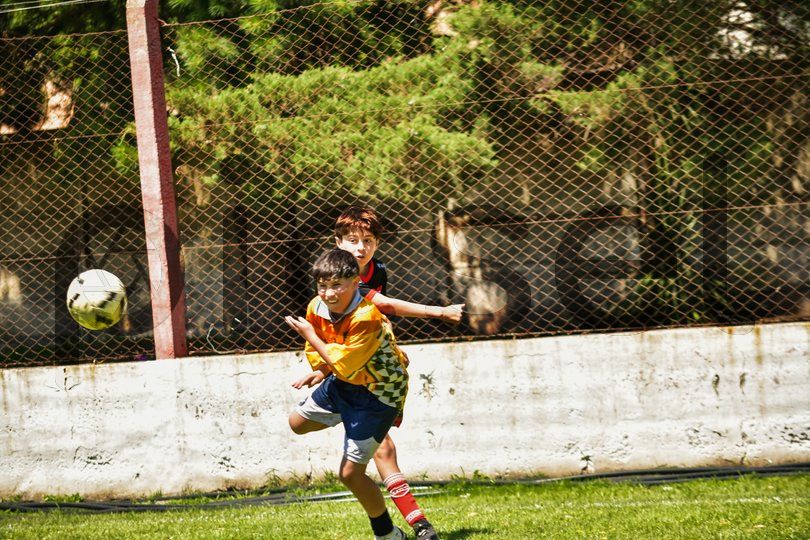 Photo of ug1dbrypll6d5i7xayg0ko71