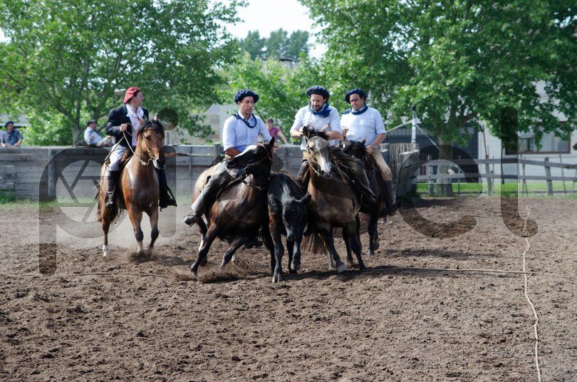 Photo of nw9q5rzktcftr2wzl42onrhy