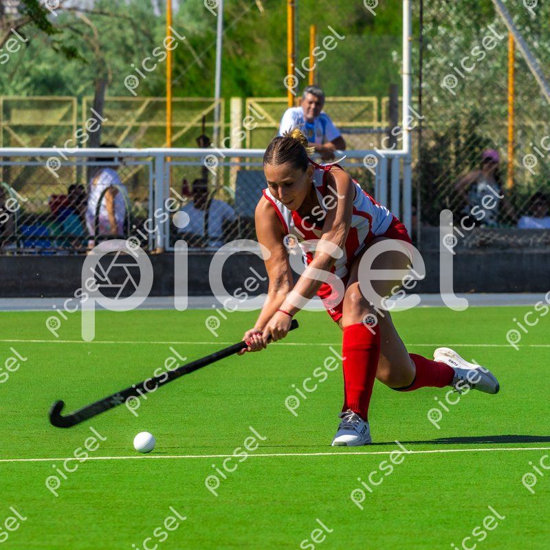 Photo of s6nbac1xsdn4lf0mx719ny1c