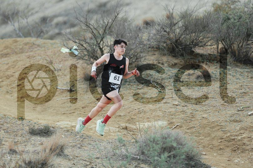 Photo of synztj970loc7tel4rols5zk