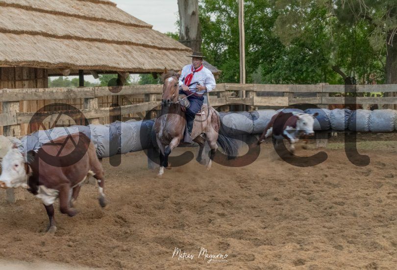 Photo of i5jzbniyo70p29n0tlapiqqb