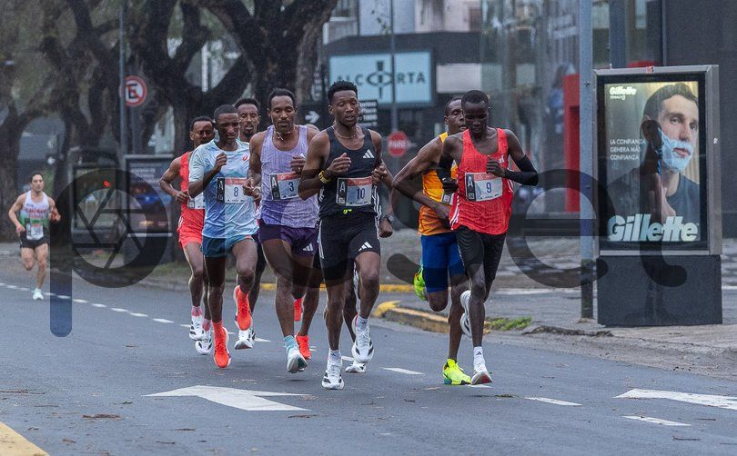 Photo of disw5ogtuho83quxk4ezzzpp