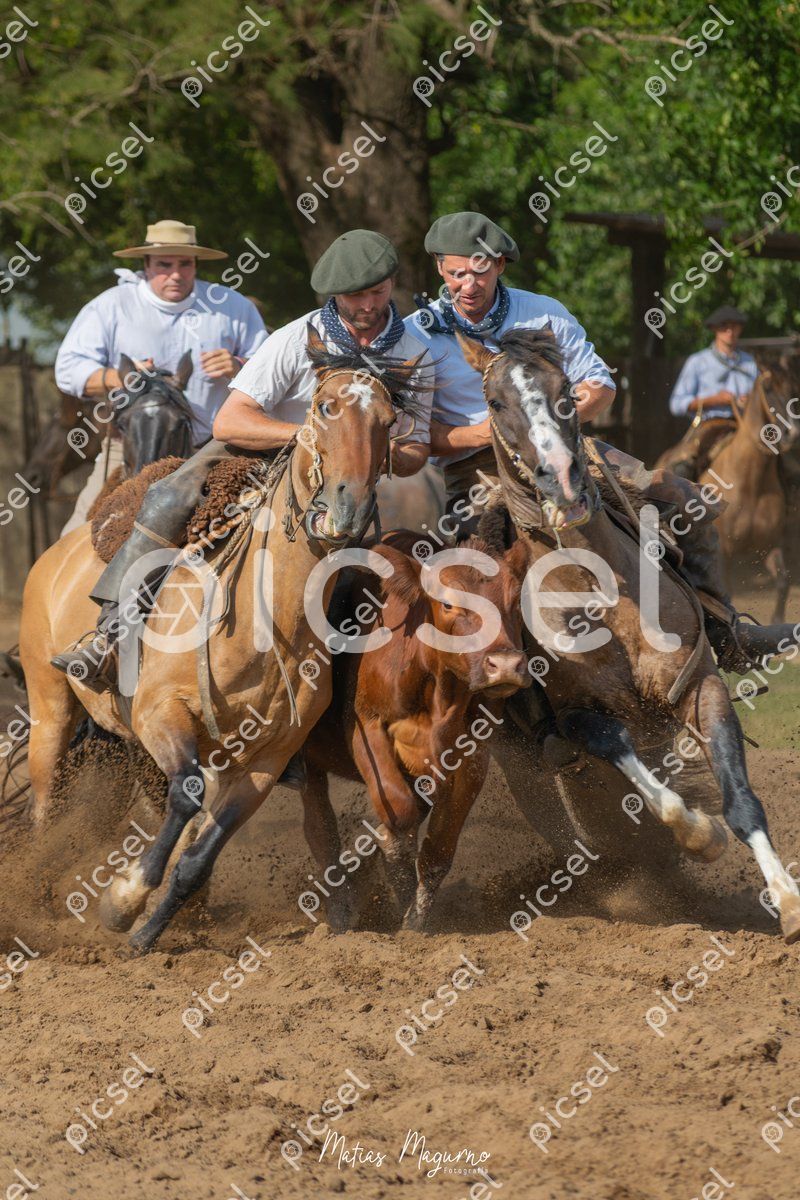 Photo of dw5ovioa5vq8lo7t4ymtn0bq