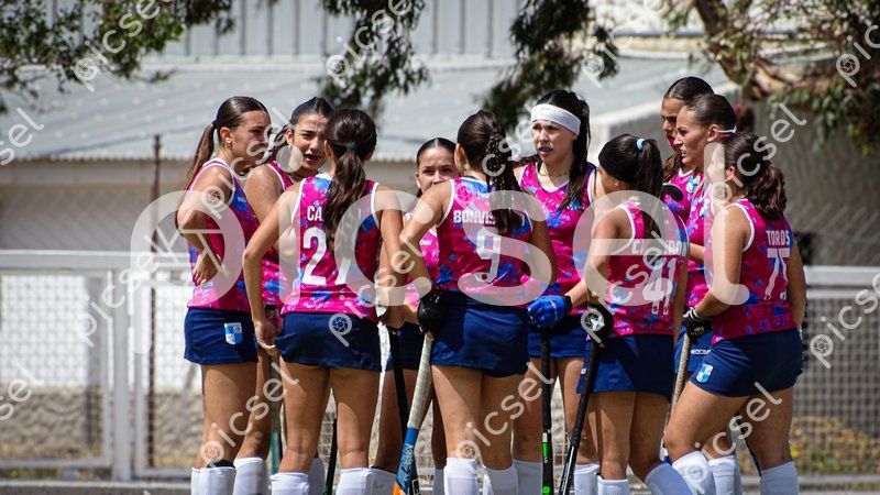 Photo of hv6nxx2qaj5violcwxtpyuum