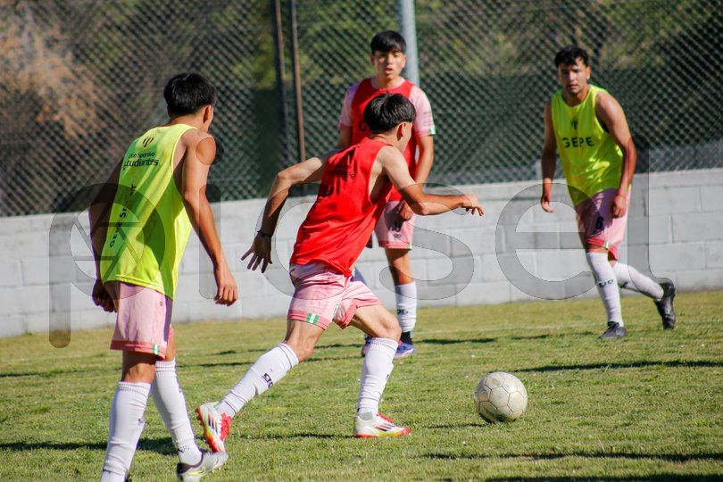 Photo of xob3ia3017joq11kpwud7hlk