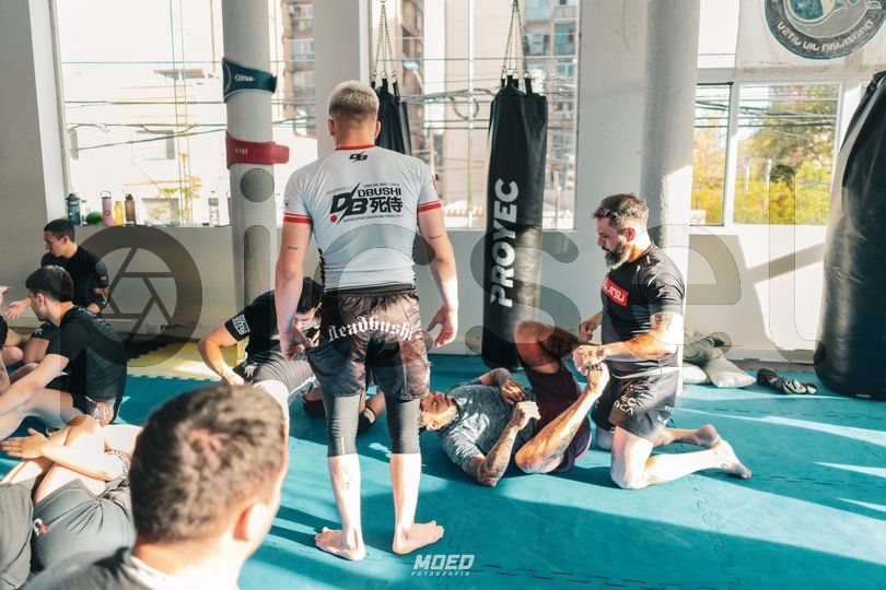 Photo of l1b9hagig4hlx4rca6x0a94p