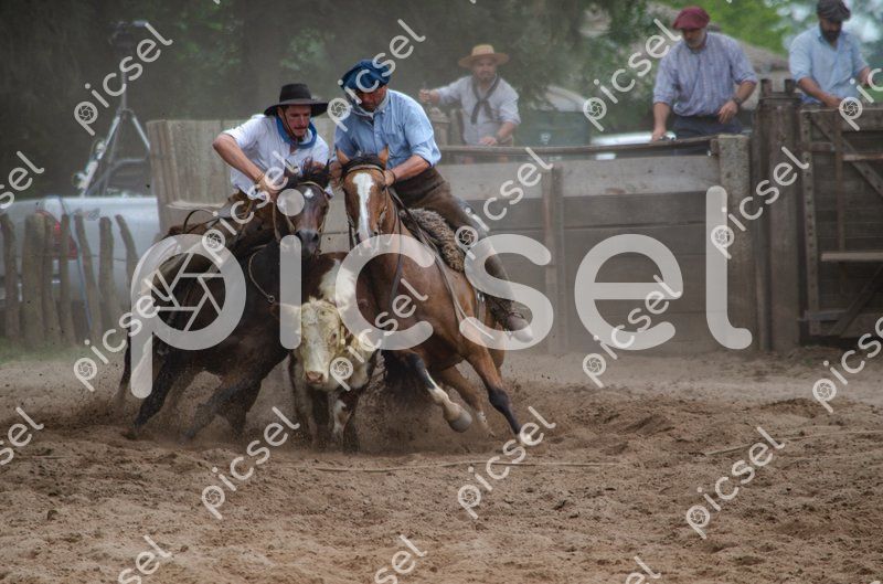 Photo of dorr88ihj88lfafwouqy6pqa