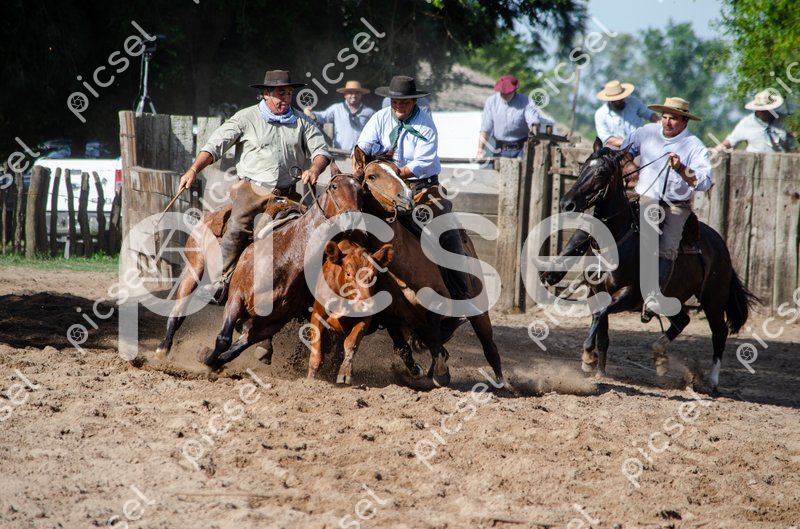 Photo of hq69ggxknbvjvh8riv4n1uak