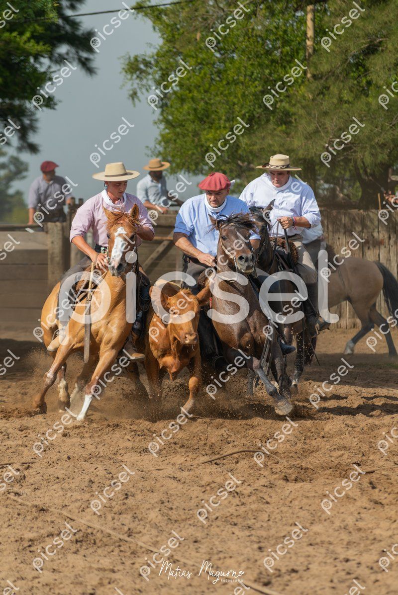 Photo of x52ebzl2mwt7zy4z78ysmhwx