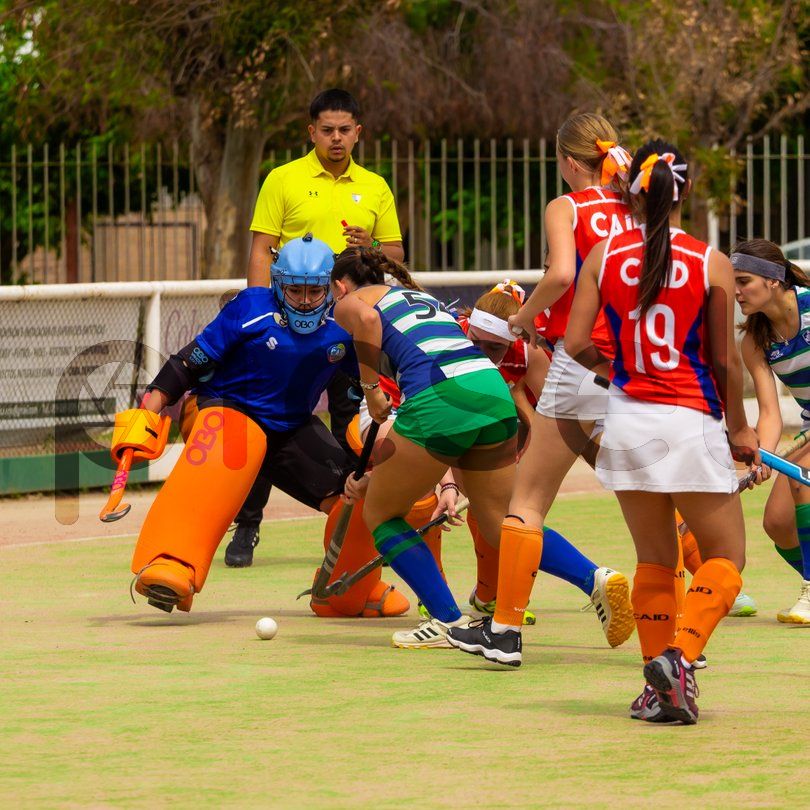 Photo of e2mvdi73ckn6a4q6cb223nb6