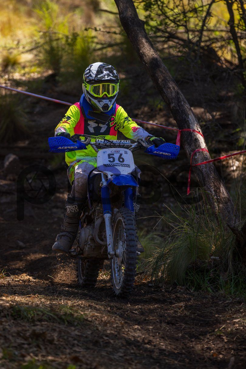 Photo of coh27026rfzubdk07c0sbree