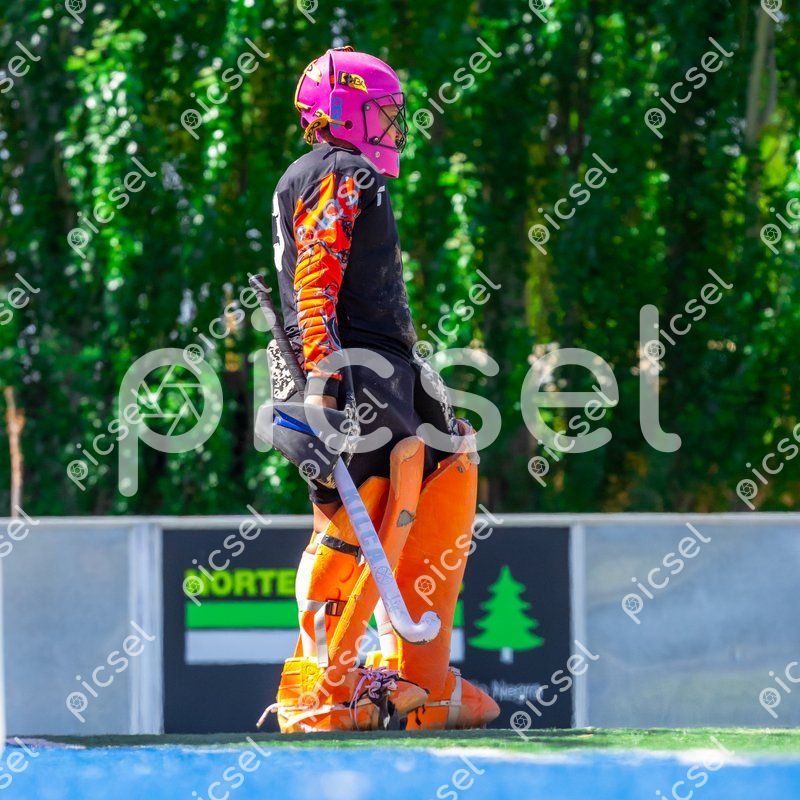 Photo of vdsx92yp76e3ra6z6wd8p0bv