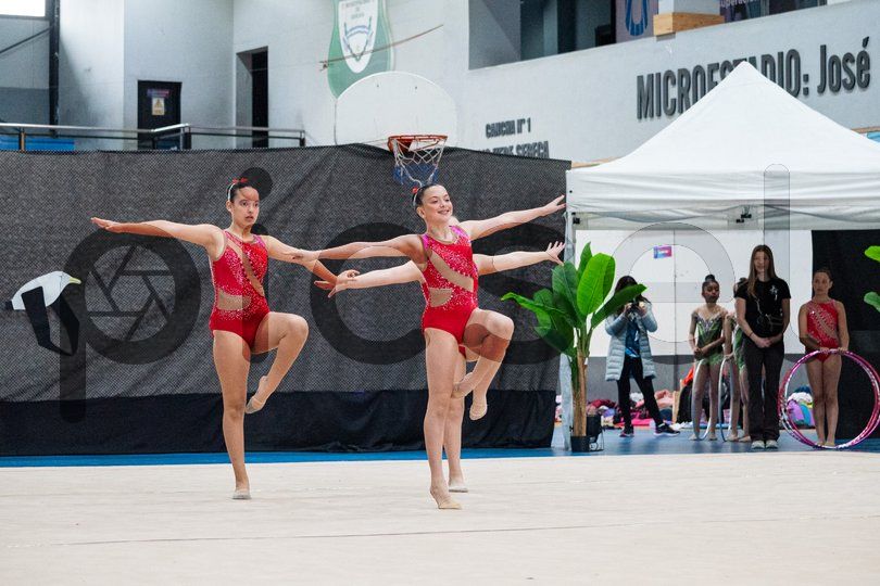 Photo of orjp4kpx8qmwo563431v3ih6