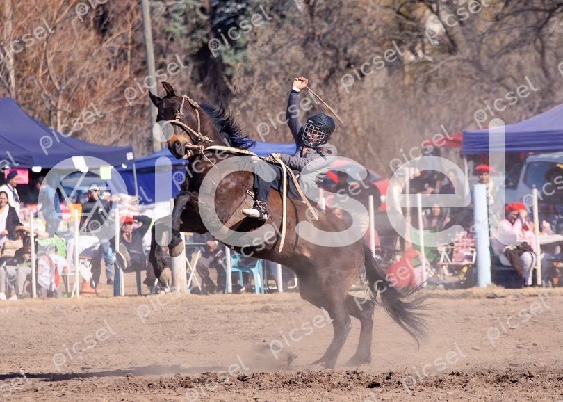 Photo of lwnnaqvmm13thb7ubk5t6a2m