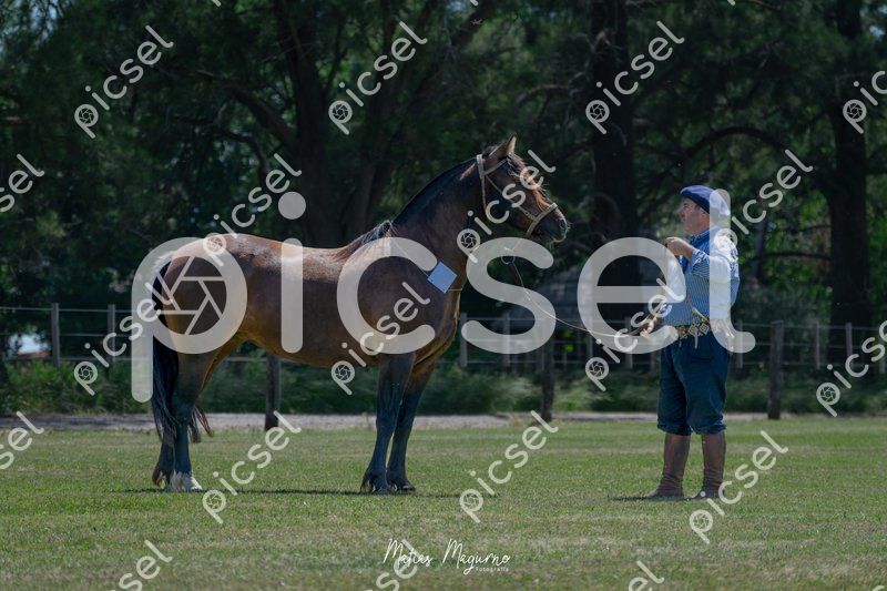 Photo of plvabackc7f64alh74vu0060