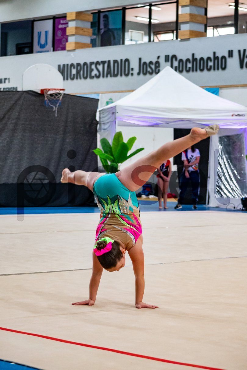 Photo of rij96cpt38o9g1hxta9hkxwm