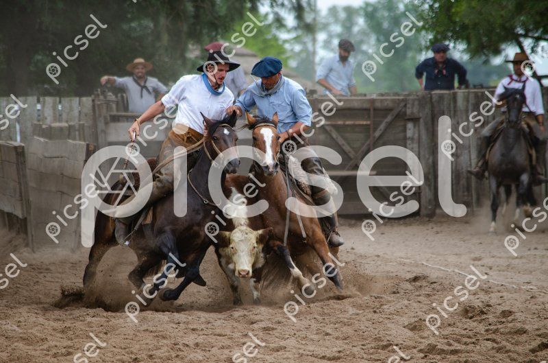 Photo of zvzan2fxwrd6gh1ygutohc81