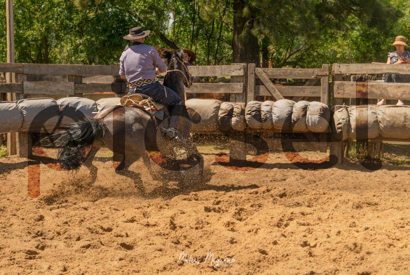 Photo of jm30e0l7ns7lm7s1b4z2xder