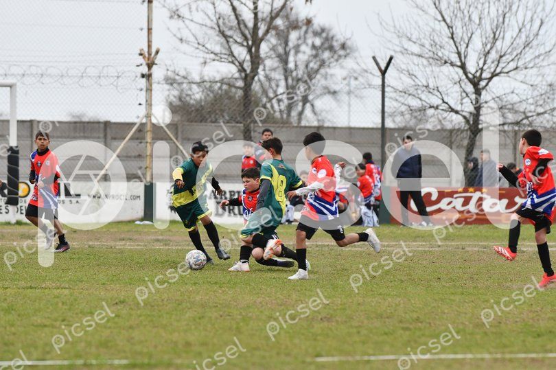 Photo of ys1gpyhe7mrodq5uaxecmvv9