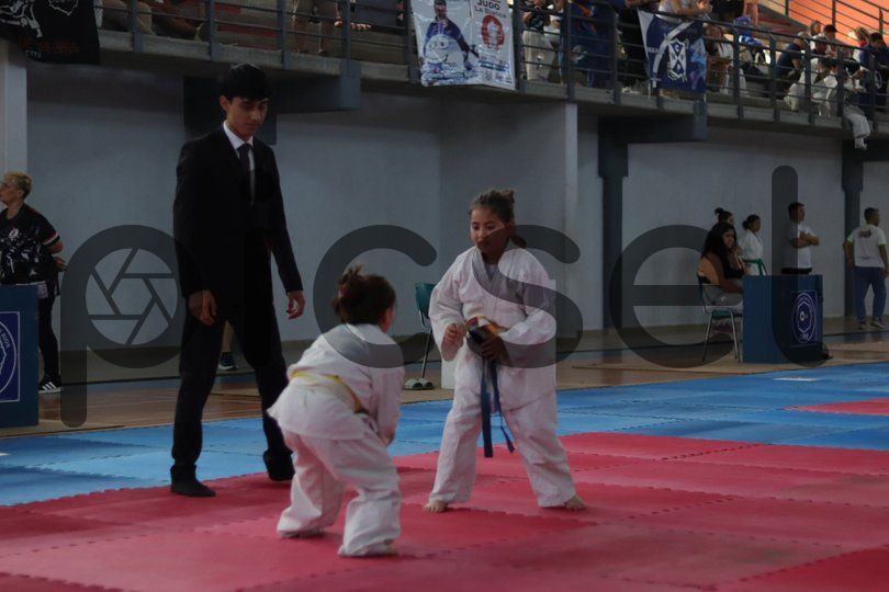 Photo of bgilisip58pxljpw2h7p3i1p