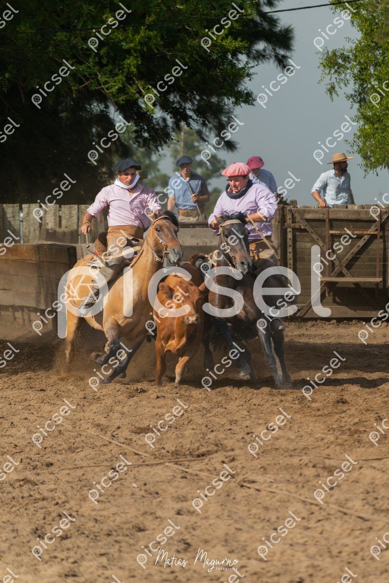 Photo of uwei75nn27o912orh98p08wp