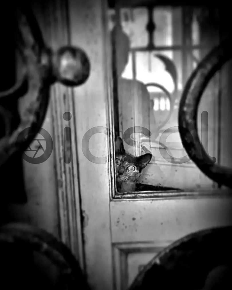 Photo of c1iq74q31udzguvjzoyenr68