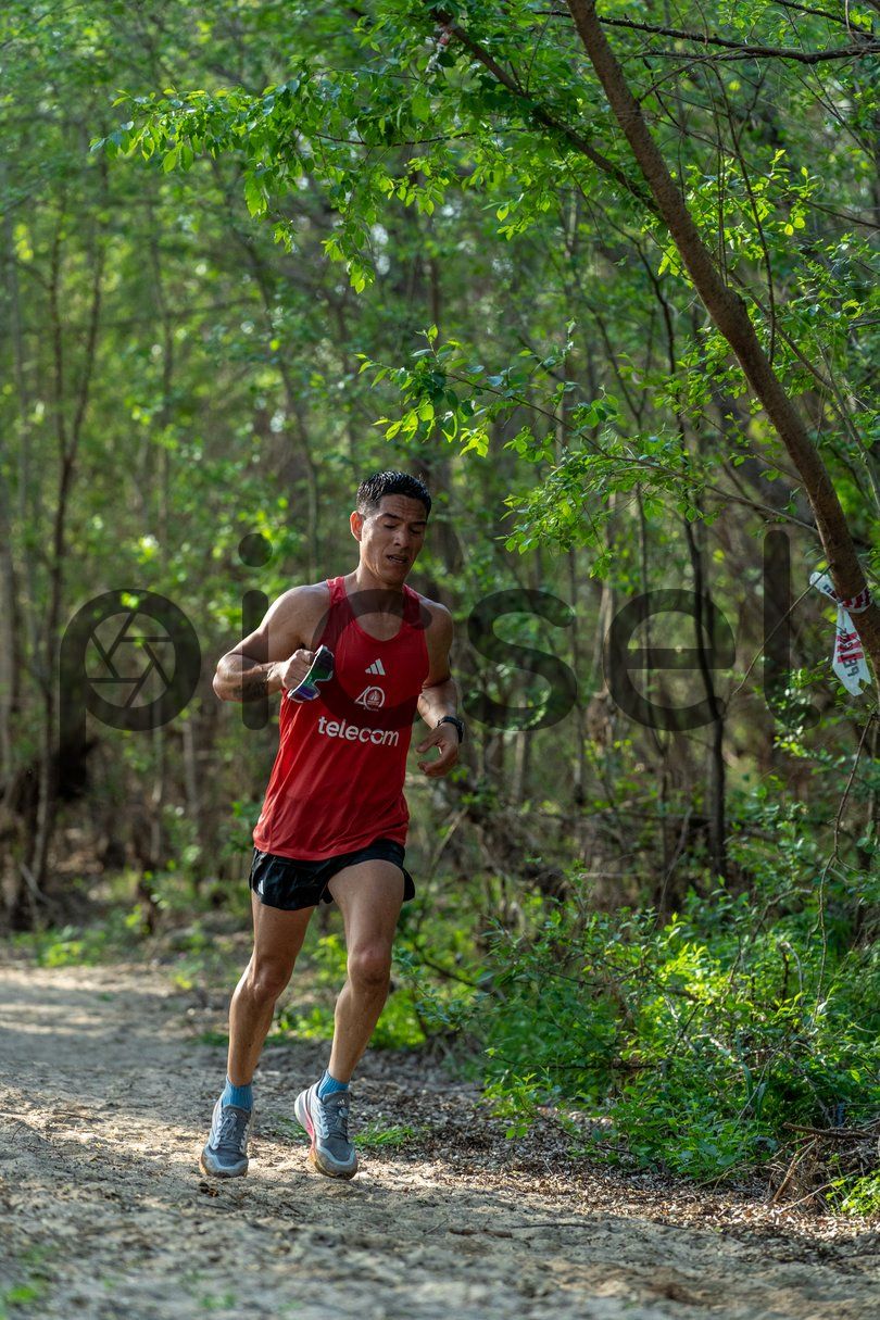 Photo of swfrjsro83gqimw7soofnbnk