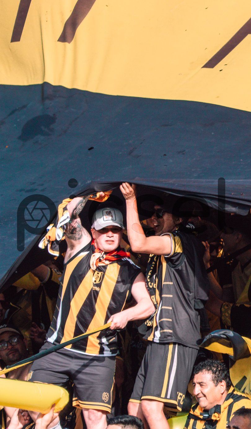 Photo of idmsha6znkxsvmdezhn5hscp