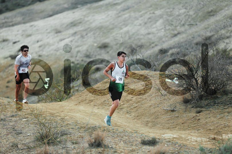 Photo of nz2blqh7sm7tctq2plk1g3dn