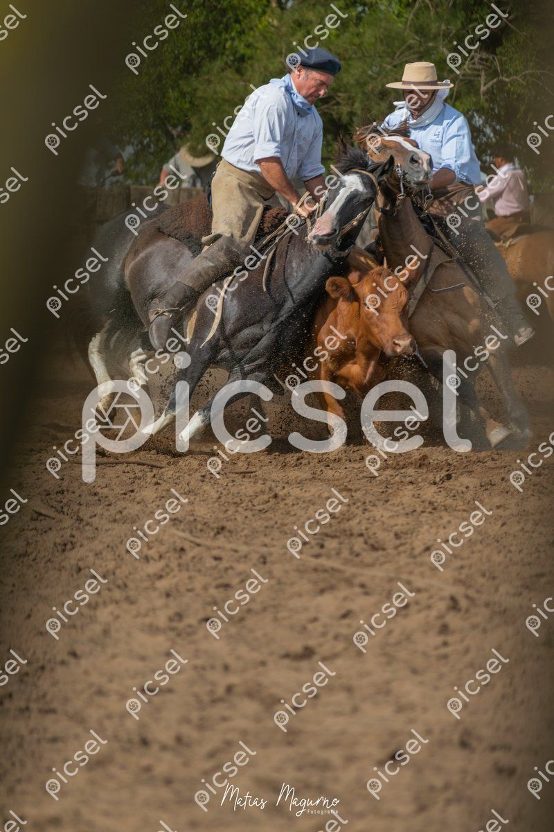 Photo of cip3fao7x0alzqm1sbi05gks