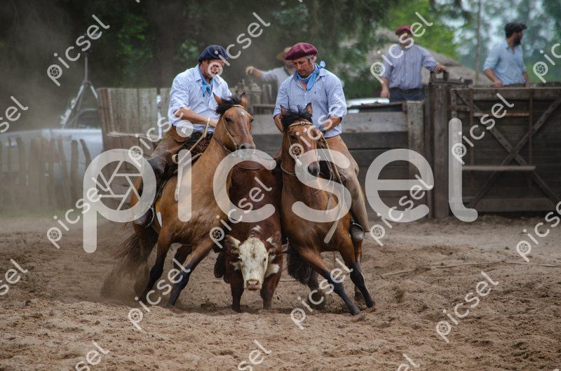 Photo of r40dyu1guwdaa8710gthdt05