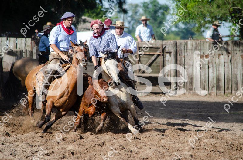 Photo of egphtzaekxdw6u9c5qm46r6v