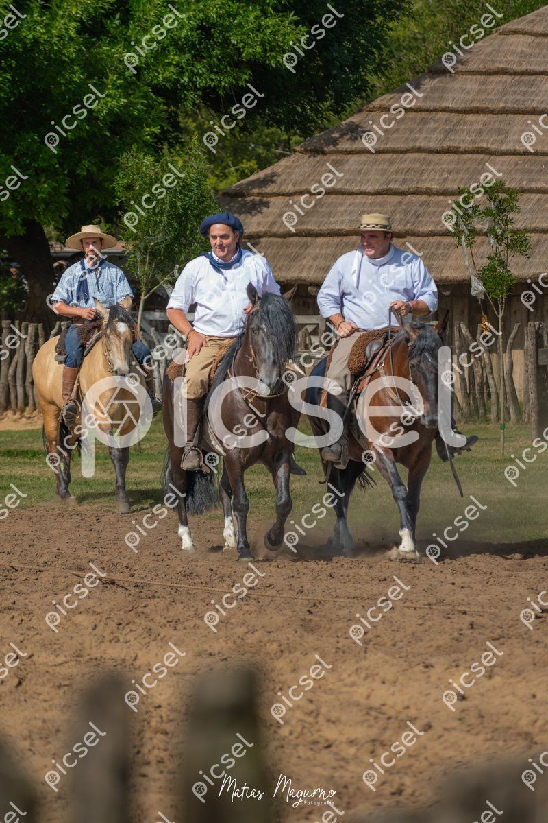 Photo of p7dlo69a9qvvnbiqcjb0x6bu