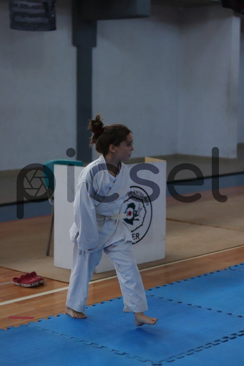 Photo of ux18svfod8t1onhkh473wjs8