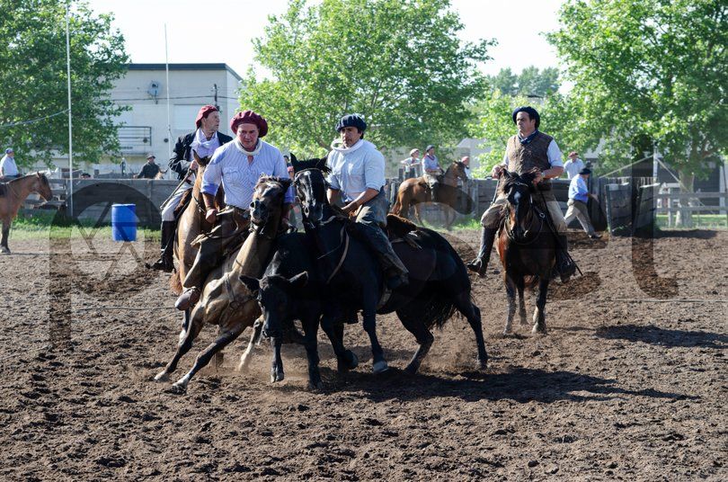 Photo of dg19t4p4bo9b8xwva2zqj0it