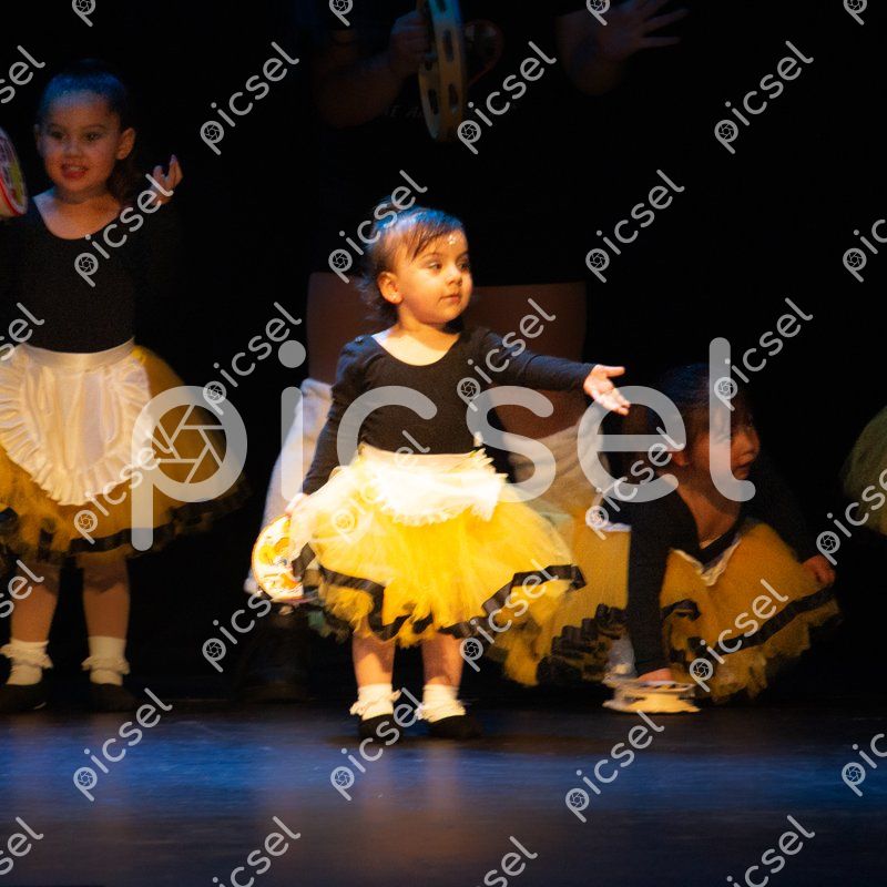 Photo of znl5a24sucsqb9c64a89059g