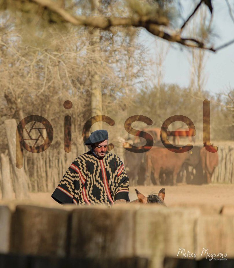 Photo of ij2m1362rjhnyfy0gavr0y1y