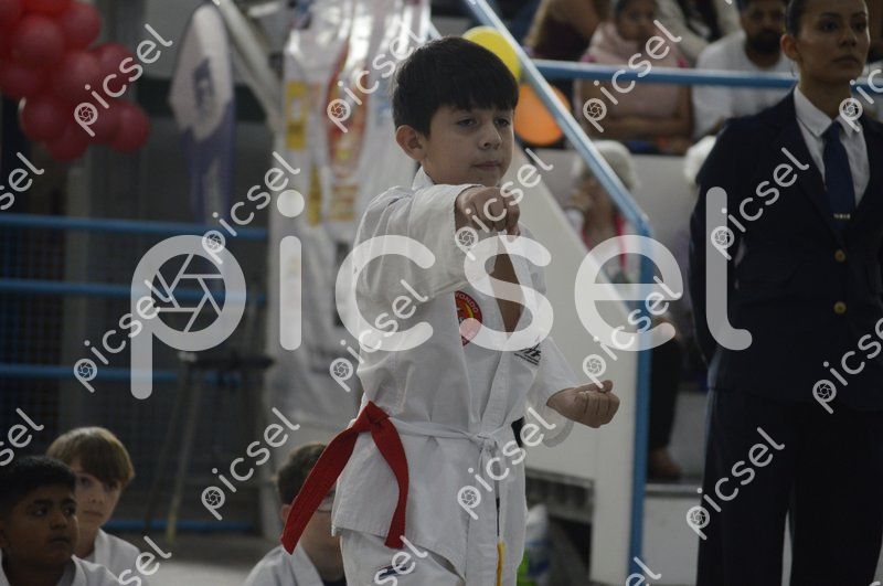 Photo of udefum57c5xbta1yjjp6ghn3