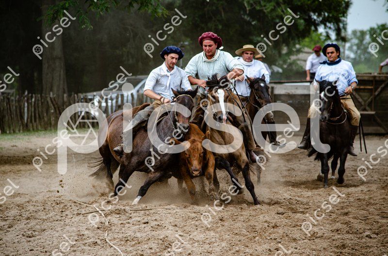 Photo of t1ai3ny6lmzw909lovx97n4a