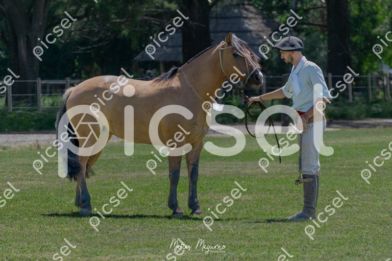 Photo of nk62xyhmicnlamkzgncj3fkd